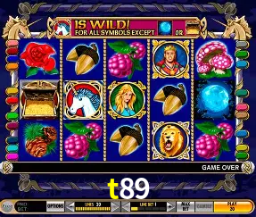 Apostas Esportivas na t89: Um Guia Completo