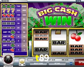 Descubra a Essência do t89: Nossa História e Compromissos